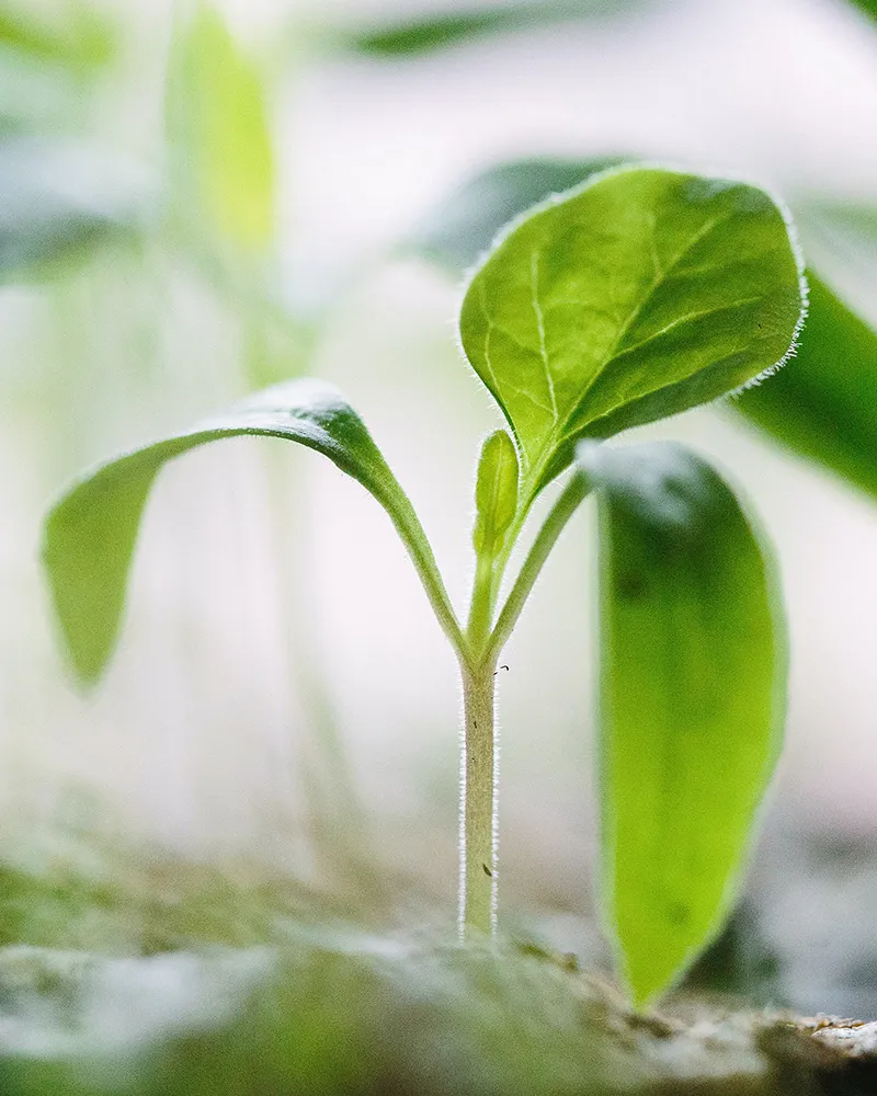 Greener store solutions